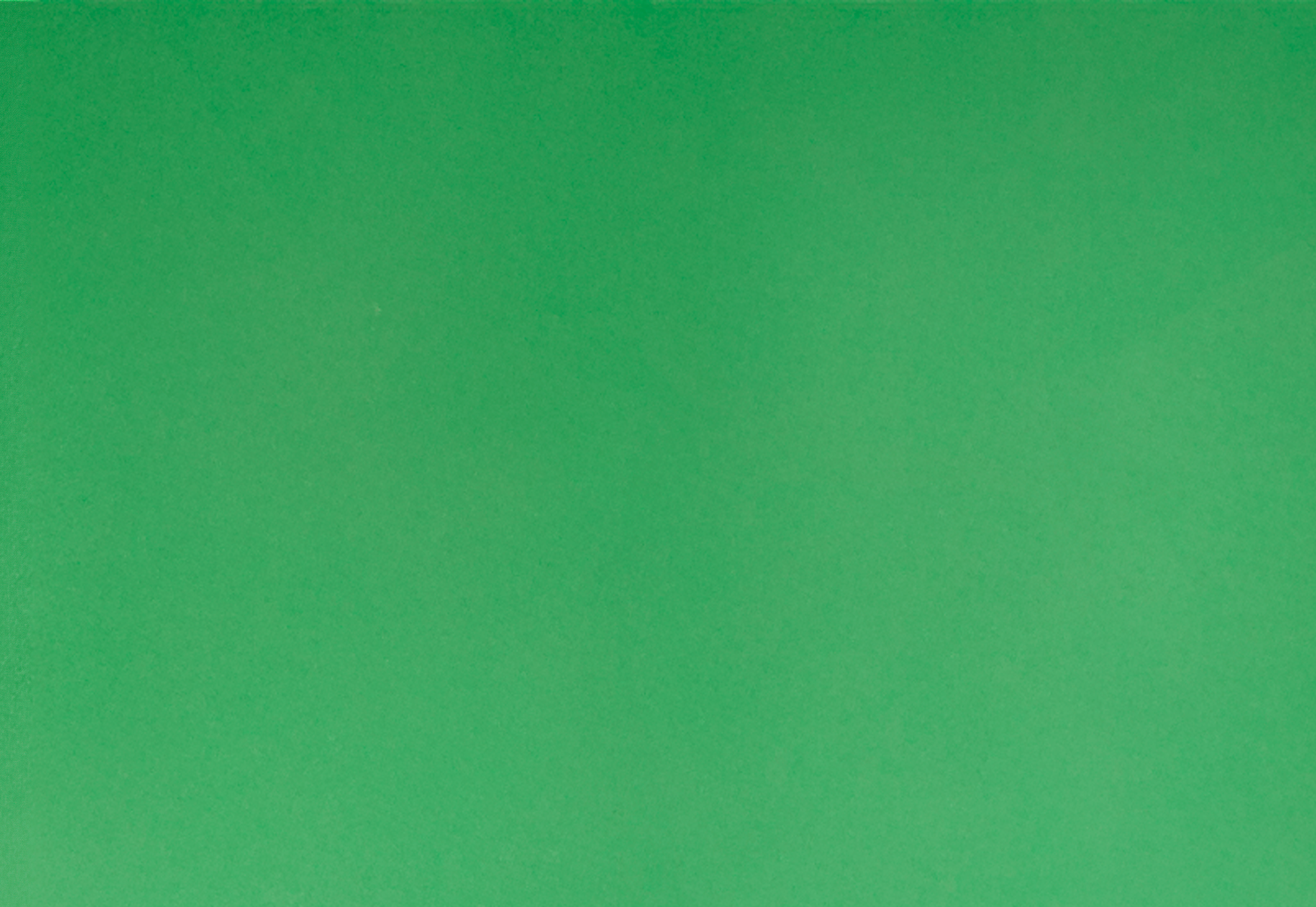 FUNDO_TEXTURA_VERDE 1@2x