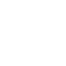 Novo Ensino Médio